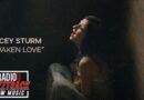 Lacey Sturm – Awaken Love