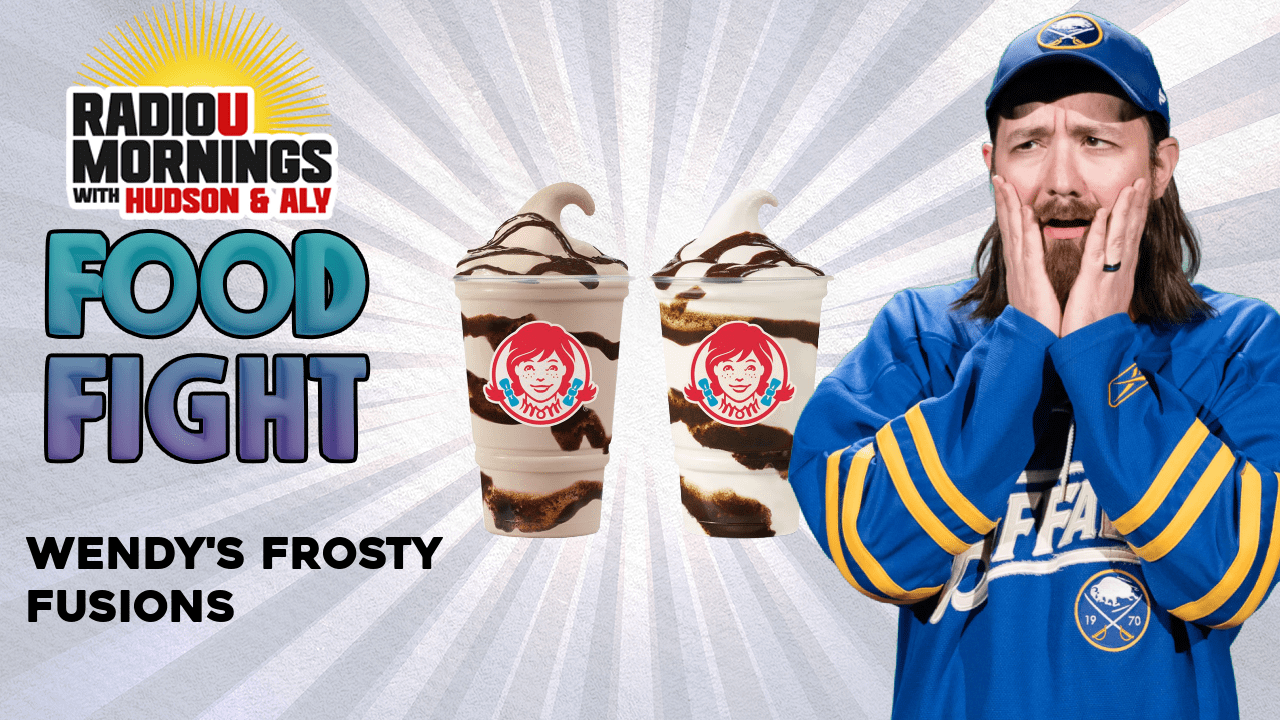 Food Fight Wendys Frosty Fusion